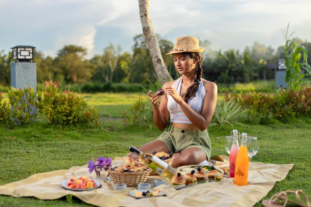 Elephyard Retreat Hotel Mahiyanganaya Ngoại thất bức ảnh